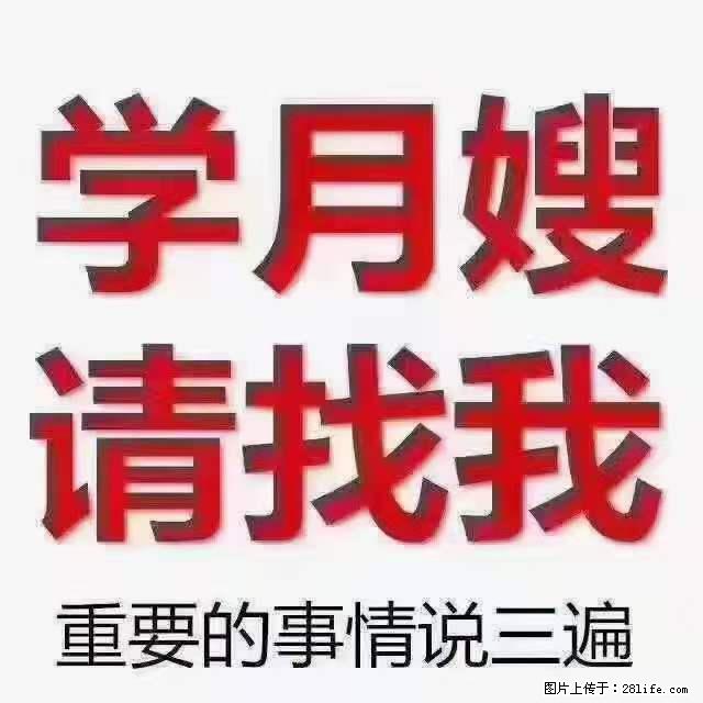 为什么要学习月嫂,育婴师? - 其他广告 - 广告专区 - 庆阳分类信息 - 庆阳28生活网 qingyang.28life.com