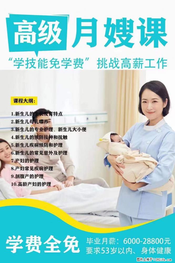 为什么要学习月嫂,育婴师? - 其他广告 - 广告专区 - 庆阳分类信息 - 庆阳28生活网 qingyang.28life.com