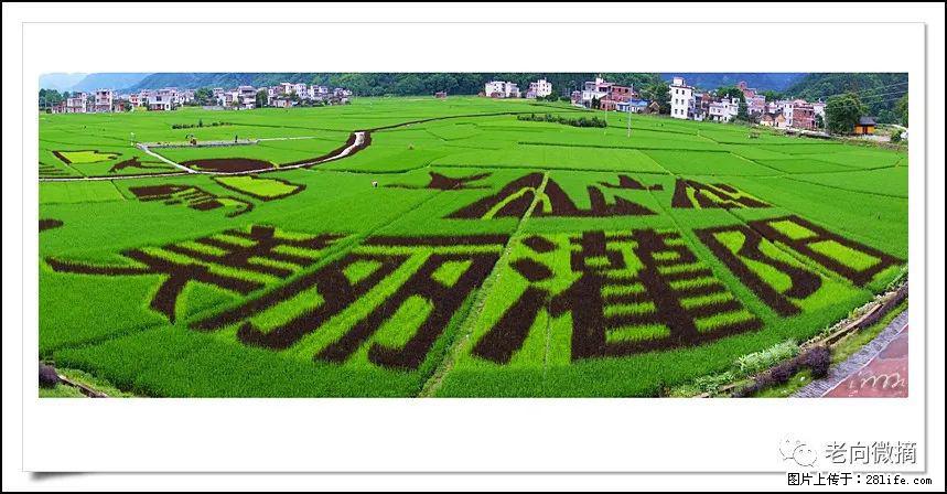 【春天，广西桂林灌阳县向您发出邀请！】开篇 - 游山玩水 - 庆阳生活社区 - 庆阳28生活网 qingyang.28life.com