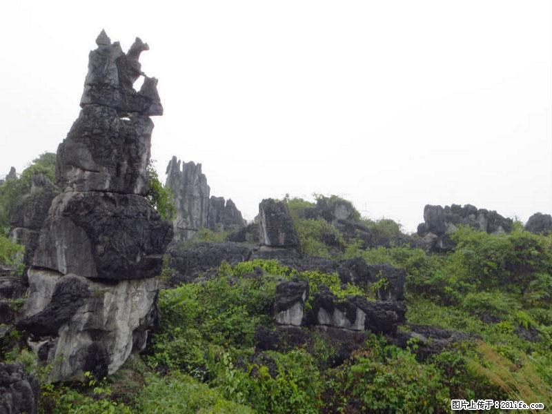 桂林旅游名城景点：灌阳文市石林 - 游山玩水 - 庆阳生活社区 - 庆阳28生活网 qingyang.28life.com