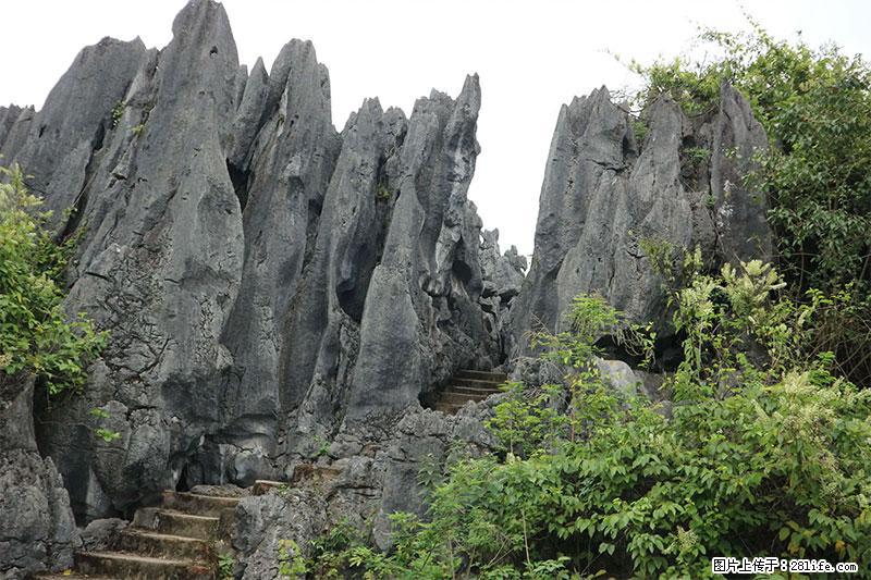 桂林旅游名城景点：灌阳文市石林 - 游山玩水 - 庆阳生活社区 - 庆阳28生活网 qingyang.28life.com