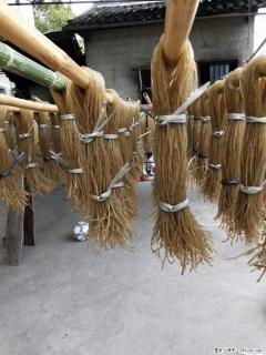 【灌阳正宗红薯粉】美女家里自己做的,干净卫生,假一赔十,价格合理,抢购电话:13737312895 - 庆阳28生活网 qingyang.28life.com
