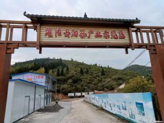 【灌阳县油茶产业示范区】一个有着充实的精神生活的人，对待身外之物自会有一种淡泊的态度 - 庆阳28生活网 qingyang.28life.com