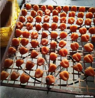 广西桂林平乐桥亭【柿饼之乡】2025年纯手工制作、无任何添加剂的第一批柿饼准备上市了，欢迎联系订购！ - 庆阳28生活网 qingyang.28life.com