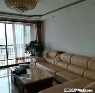 庆一中附近,豪装三居室,停车方便,图片真实有效,随时看房 - 庆阳28生活网 qingyang.28life.com