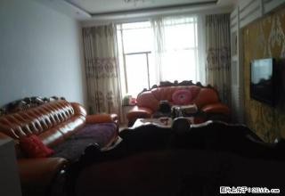 可月付,精装三居室,地理位置优越,出行方便,交通便利 - 庆阳28生活网 qingyang.28life.com