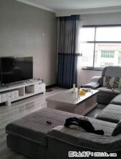 建材市场西门附近 三居室 精装修 拎包入住 - 庆阳28生活网 qingyang.28life.com