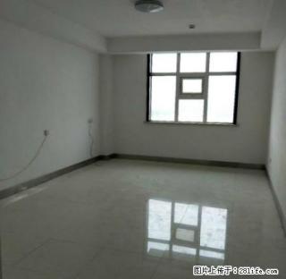丽晶公寓 商业中心 全明格局 南北通透 交通便利 - 庆阳28生活网 qingyang.28life.com