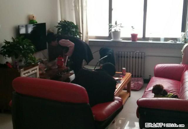 2室1厅1卫1阳台,观景房,落地大飘窗,采光视野 - 房屋出租 - 房屋租售 - 庆阳分类信息 - 庆阳28生活网 qingyang.28life.com