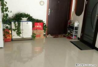 东墅一品精装两居室,交通便利,购物方便,小区绿化好 - 庆阳28生活网 qingyang.28life.com