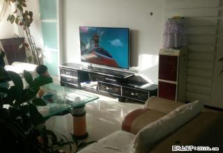 五中附近嘉禾小区 精装3居室 带家具家电 急租 - 庆阳28生活网 qingyang.28life.com