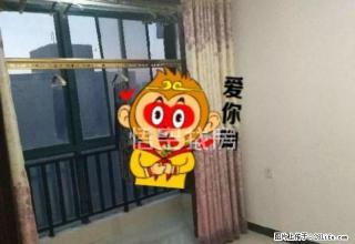 位于城市中心,地理位置优越,邻近建材市场,出路方便 - 庆阳28生活网 qingyang.28life.com