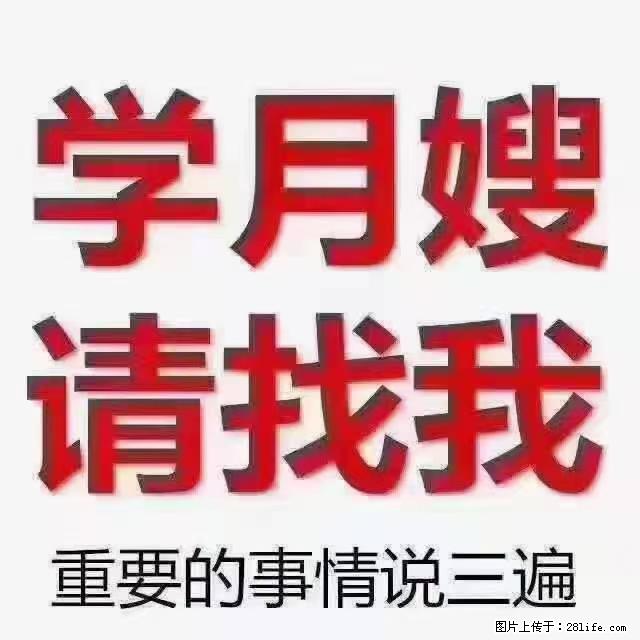 【招聘】月嫂,上海徐汇区 - 职场交流 - 庆阳生活社区 - 庆阳28生活网 qingyang.28life.com