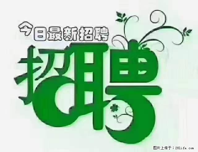 上海隔离酒店招人:55岁以下 男女不限 - 职场交流 - 庆阳生活社区 - 庆阳28生活网 qingyang.28life.com
