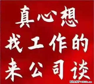 【上海】国企,医院招两名男保安,55岁以下,身高1.7米以上,无犯罪记录不良嗜好 - 庆阳28生活网 qingyang.28life.com