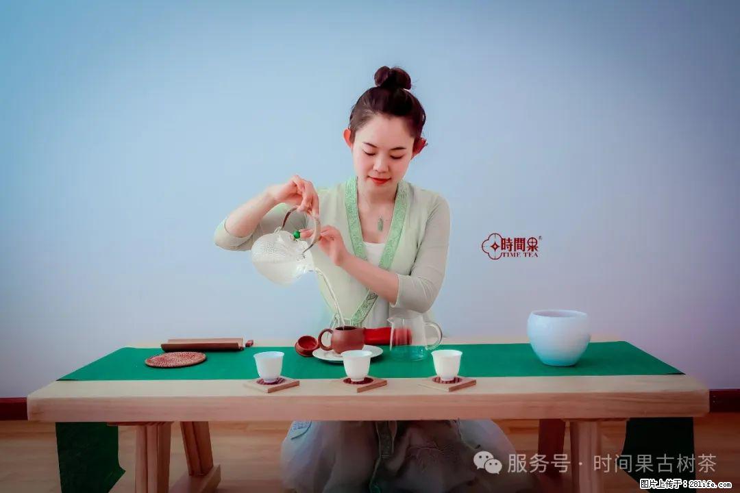 时间果百年古树龙珠普洱生茶 - 购物交流 - 庆阳生活社区 - 庆阳28生活网 qingyang.28life.com