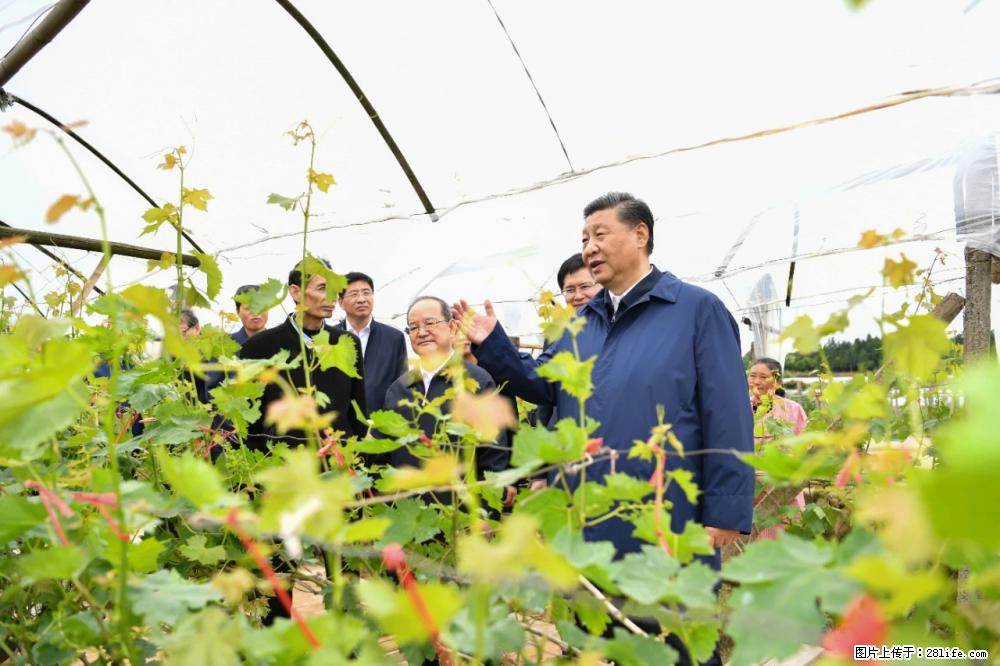 习近平赴广西考察调研 - 庆阳生活资讯 - 庆阳28生活网 qingyang.28life.com