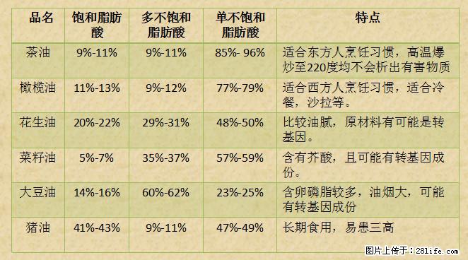 揭秘茶油的5大核心营养成分!被称为人体健康的“守护盾”! - 庆阳生活资讯 - 庆阳28生活网 qingyang.28life.com