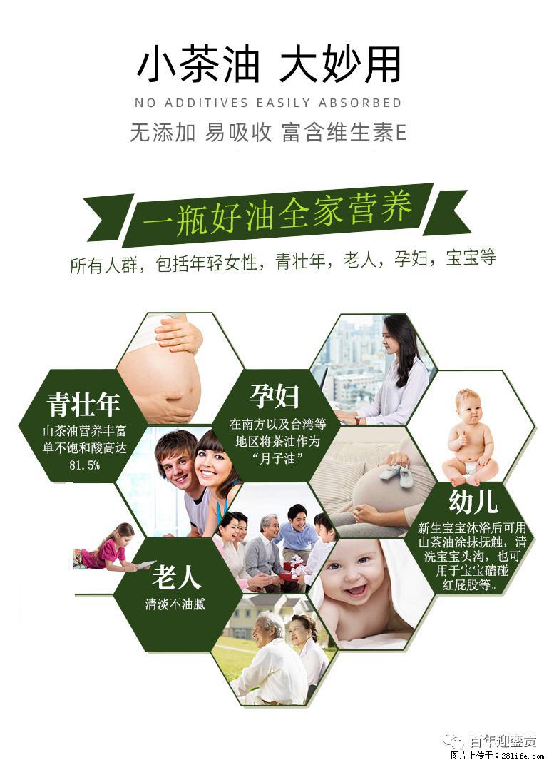 世界没有真相,只有认知,最好的食用油是中国的山茶油! - 庆阳生活资讯 - 庆阳28生活网 qingyang.28life.com