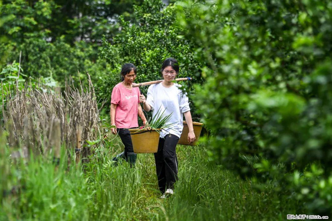全网追的“扁担女孩”，找了一份暑假工，时薪12元 - 庆阳生活资讯 - 庆阳28生活网 qingyang.28life.com