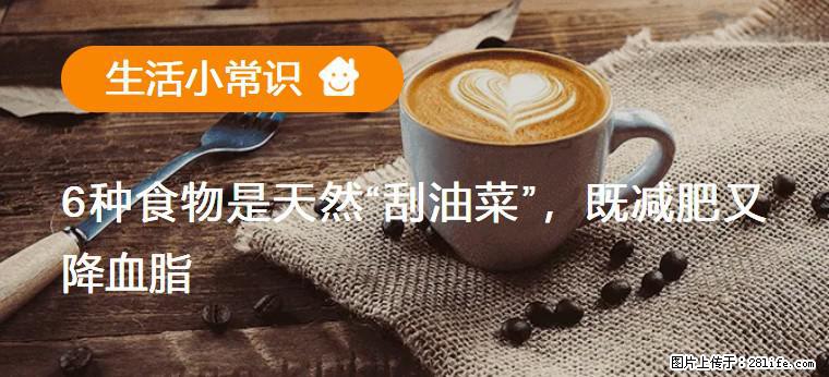 【生活小常识】6种食物是天然“刮油菜”,既减肥又降血脂 - 庆阳生活资讯 - 庆阳28生活网 qingyang.28life.com