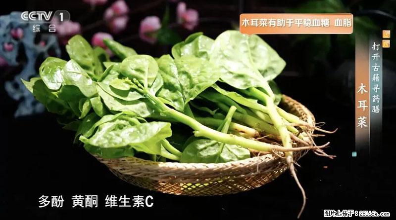 比牛奶补钙还厉害!凉血解毒、稳血糖...这菜冬天必吃,很多人却当草 - 庆阳生活资讯 - 庆阳28生活网 qingyang.28life.com