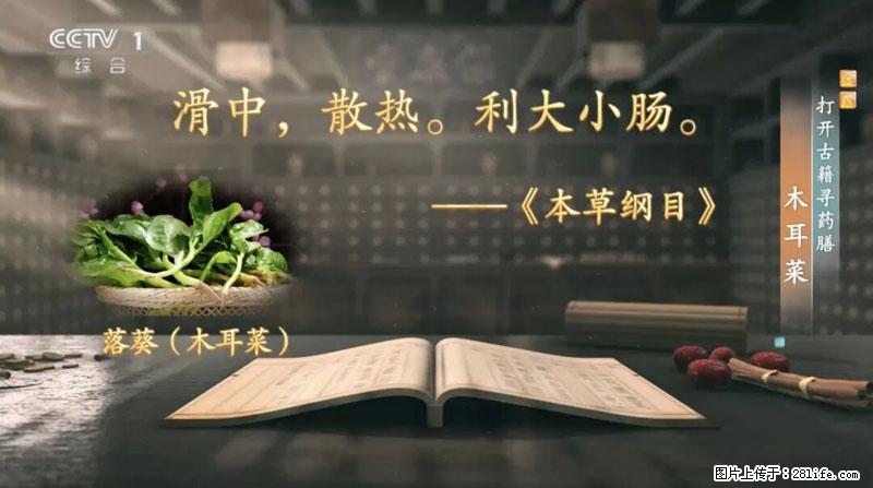 比牛奶补钙还厉害!凉血解毒、稳血糖...这菜冬天必吃,很多人却当草 - 庆阳生活资讯 - 庆阳28生活网 qingyang.28life.com