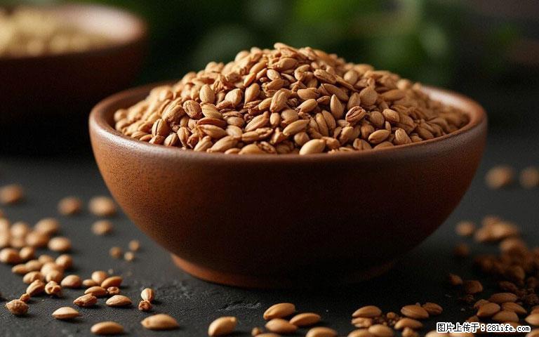 这三苦是三高“克星”，心血管干净不易堵！每天吃一点，指标慢慢降下来~ - 庆阳生活资讯 - 庆阳28生活网 qingyang.28life.com