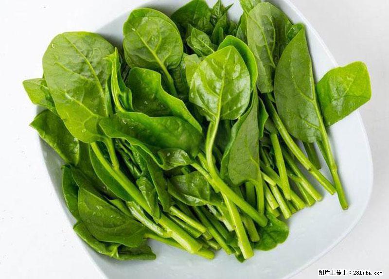 这些蔬菜是“天然钙片”，这6种被医生重点推荐 - 庆阳生活资讯 - 庆阳28生活网 qingyang.28life.com