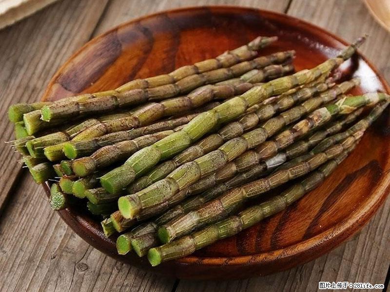 铁皮石斛的作用与功能主治 - 庆阳生活资讯 - 庆阳28生活网 qingyang.28life.com