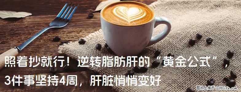 照着抄就行！逆转脂肪肝的“黄金公式”，3件事坚持4周，肝脏悄悄变好 - 庆阳生活资讯 - 庆阳28生活网 qingyang.28life.com
