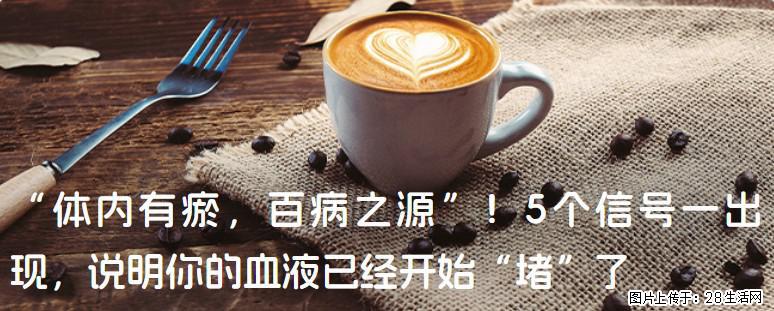 “体内有瘀，百病之源”！5个信号一出现，说明你的血液已经开始“堵”了 - 庆阳生活资讯 - 庆阳28生活网 qingyang.28life.com